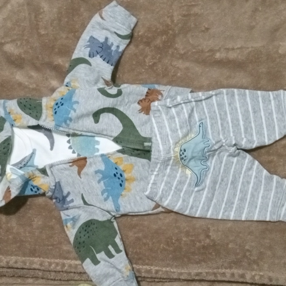 Dinosaur matching set